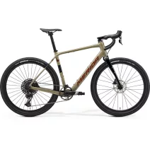 E-Bikes ROAD