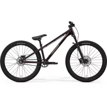 MTB DIRT