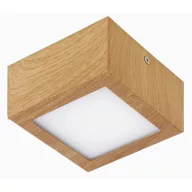 Eglo 95195 MENNYEZETI LÁMPA