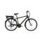 PARMA ffi 19 E-Trekking MXUS