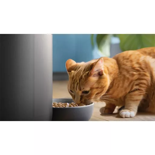 Philips PAW5320/02 KISÁLLAT ETETŐ