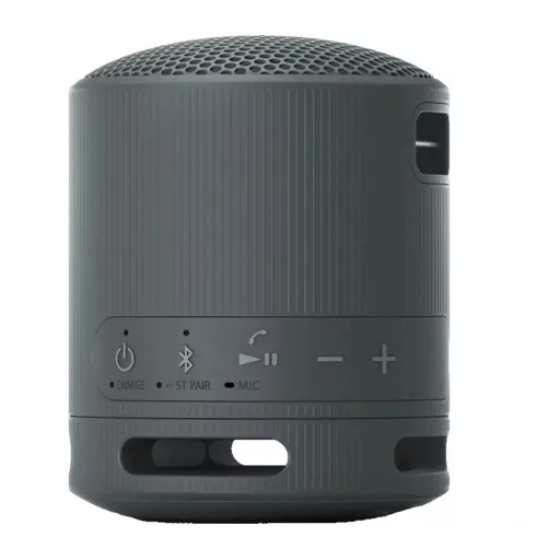 Sony SRSXB100B.CE7 BLUETOOTH HANGSZÓRÓ
