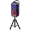 Trevi XFM 225 W PARTY HANGFAL